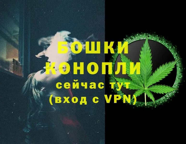 Марихуана SATIVA & INDICA  Мосальск 